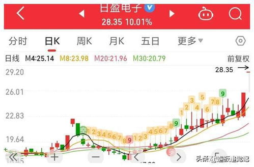 周末投资选择 信息系统运行维护服务领域的二板大龙股机遇